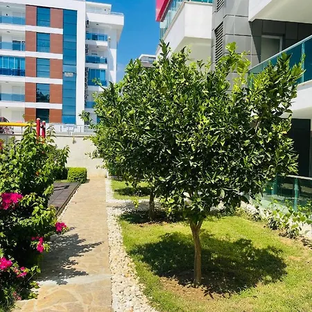 Alanya Kleopatra Beach Full Komplex Apartment Alanya